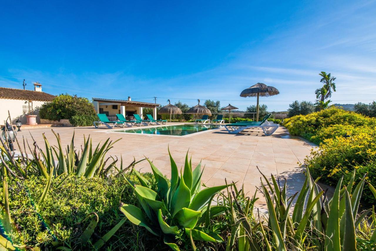 Finca Cas Padrins Manacor (Mallorca) Exterior foto